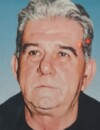  SLOBODAN B. ČELEBIĆ 
